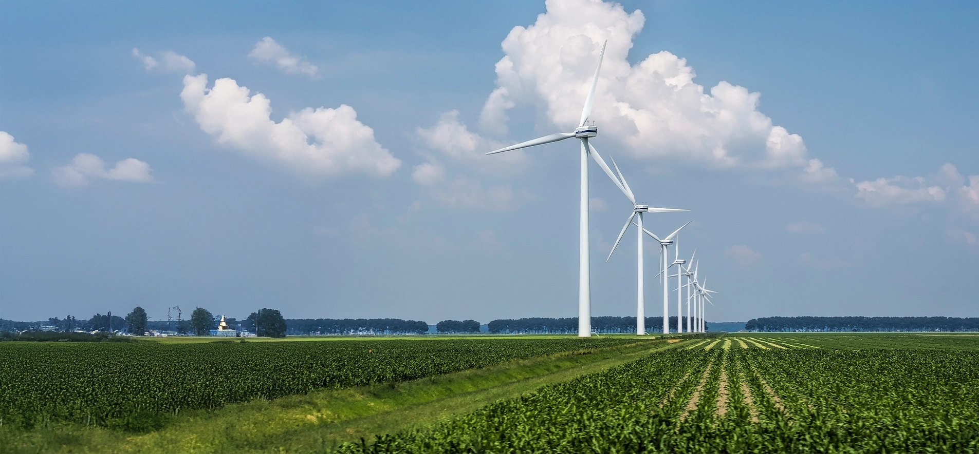 Epichlorohydrin (ECH)