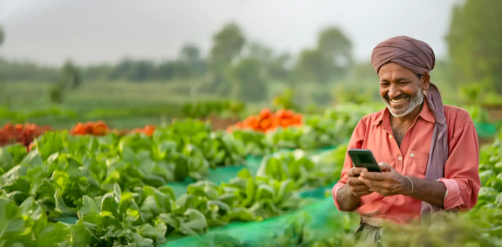 Media Center - Latest News & Updates