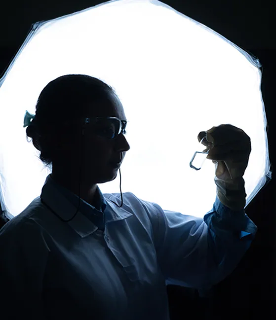 Innovation for sustainability