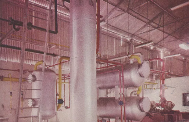 Established the Caustic Soda Plant in Kota, embarking on our industrial journey.