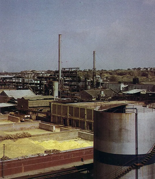 Legacy and Future: A Symbol of Trust and Innovation