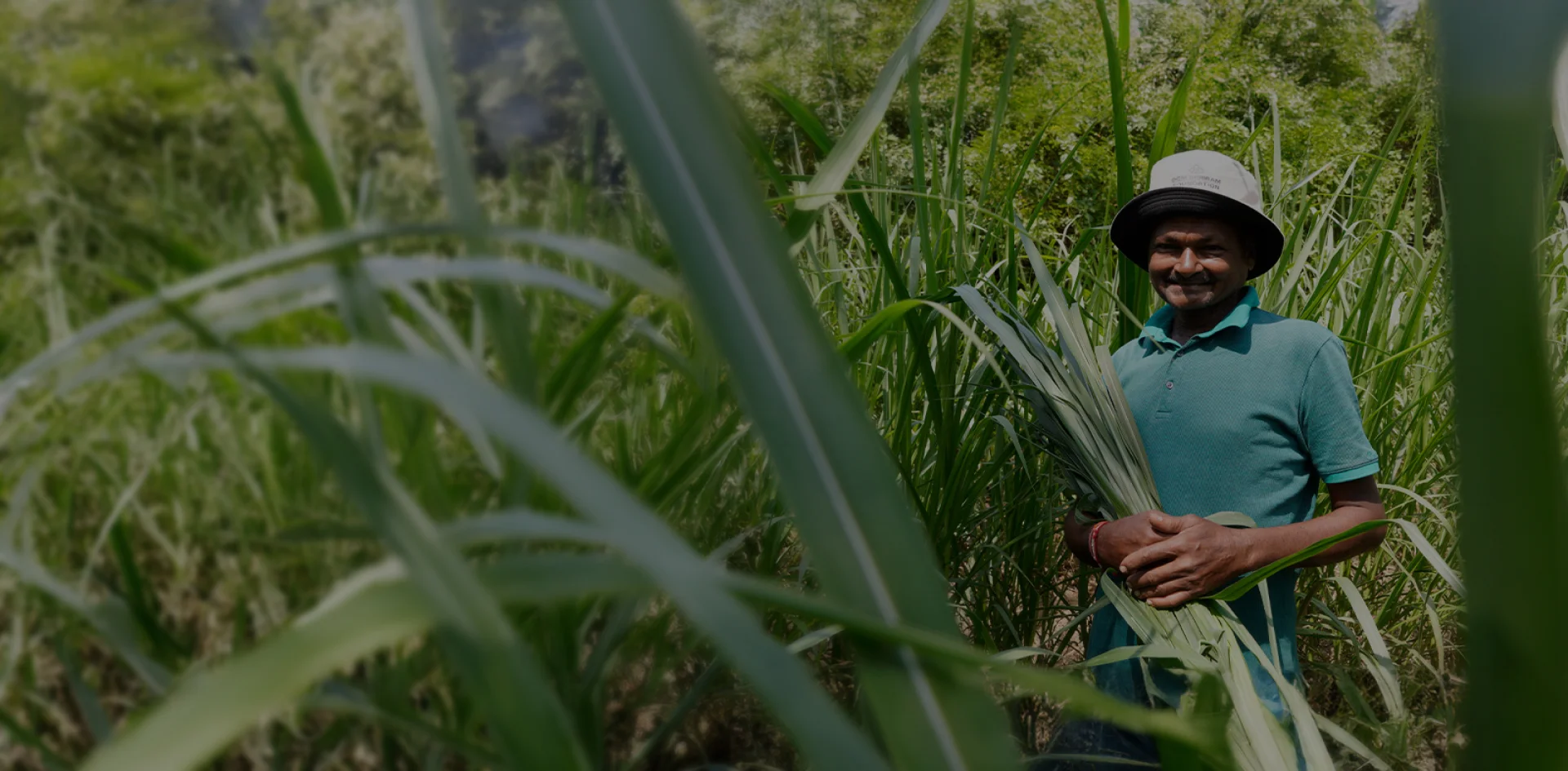 Investing in growth beyond business